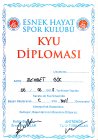 Uzm. Psk. Dan. Mehmet Gök Psikoloji sertifikası