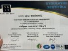 Psk. Güler Ersönmez Psikoloji sertifikası