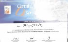 Op. Dr. Oktay Çelik Genel Cerrahi sertifikası