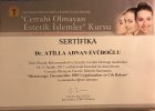 Yrd. Doç. Dr. Atilla Adnan Eyüboğlu Plastik Rekonstrüktif ve Estetik Cerrahi sertifikası