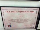 Dt. Handan Köprülü Bulut Diş Hekimi sertifikası