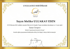 Psk. Melike Uluakay Esen Psikoloji sertifikası