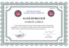Psk. Ayşegül Ayvaz Psikoloji sertifikası