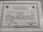 Uzm. Psk. Feride Altay Psikoloji sertifikası