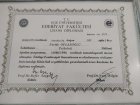 Uzm. Psk. Feride Altay Psikoloji sertifikası