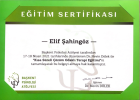 Aile Danışmanı Elif Kaya Şahingöz Çocuk Gelişim Uzmanı sertifikası