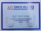 Uzm. Dr. Pelin Akgün Gerçek Çocuk Sağlığı ve Hastalıkları sertifikası