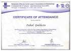 Uzm. Dr. Zuhal Güldeste Fiziksel Tıp ve Rehabilitasyon sertifikası