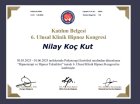 Aile Danışmanı Nilay Koç Kut Aile Danışmanı sertifikası