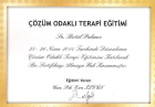 Uzm. Kl. Psk. Betül Palancı Psikoloji sertifikası