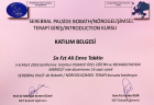 Fzt. Ali Emre Takkin Kayropraktist sertifikası