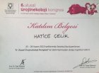 Doç. Dr. Hatice Çelik Kadın Hastalıkları ve Doğum sertifikası