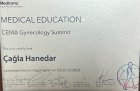Op. Dr. Çağla Bahar Bülbül Hanedar Kadın Hastalıkları ve Doğum sertifikası