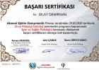Psk. Dilay Demirgan Psikoloji sertifikası