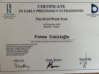 Doç. Dr. Fatma Eskicioğlu Kadın Hastalıkları ve Doğum sertifikası