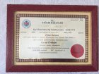 Prof. Dr. İrfan Karaca Çocuk Cerrahisi sertifikası