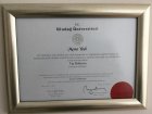 Op. Dr. Mesut Yeşil Üroloji sertifikası