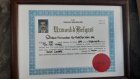 Op. Dr. Asil Yılmaz Genel Cerrahi sertifikası
