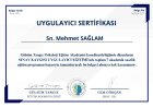 Psk. Dan. Mehmet Sağlam Psikolojik Danışman sertifikası