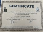 Uzm. Pedagog Sara Catarina Pires Psikoloji sertifikası