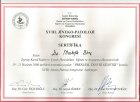 Op. Dr. Mustafa Dinç Kadın Hastalıkları ve Doğum sertifikası