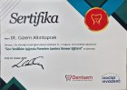 Dt. Gizem Altıntoprak Diş Hekimi sertifikası