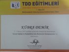 Dyt. Kübra Demir Diyetisyen sertifikası