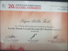 Op. Dr. Atilla Fesli Plastik Rekonstrüktif ve Estetik Cerrahi sertifikası