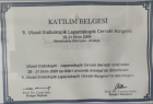 Op. Dr. Mehmet Akgün Tepeli Genel Cerrahi sertifikası