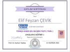 Dil ve Konuşma Terapisti Elif Feyzan ÇEVİK Dil Konuşma Bozuklukları sertifikası