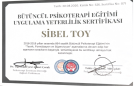 Uzm. Psk. Dan. Sibel Toy Psikolojik Danışman sertifikası