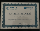 Psk. Ayşe Betül Gök Psikoloji sertifikası