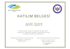 Psk. Berk İşlek Psikoloji sertifikası