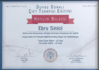 Uzm. Psk. Ebru Sinici Psikoloji sertifikası