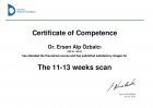 Uzm. Dr. Ersen Alp Özbalcı Radyoloji sertifikası