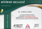 Psk. Ayşegül Güneş Psikoloji sertifikası
