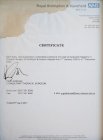 Prof. Dr. Cemal Asım Kutlu Göğüs Cerrahisi sertifikası