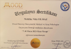 Psk. Mehlika Nida Yılmaz Psikoloji sertifikası