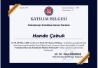 Klinik Psikolog Hande Erçin Psikoloji sertifikası