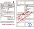 Uzman Dil ve Konuşma Terapisti Özgür Tekol Dil Konuşma Bozuklukları sertifikası