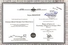 Uzm. Psk. Yeşim Delice Psikoloji sertifikası
