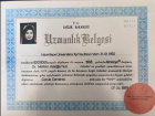Prof. Dr. Meltem Koloğlu Çocuk Cerrahisi sertifikası