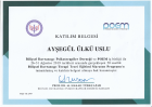 Uzm. Kl. Psk. Ayşegül Ülkü Psikoloji sertifikası