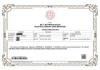 Uzman Dil ve Konuşma Terapisti Oğuzhan Köseoğlu Psikolojik Danışman sertifikası