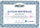 Dt. Betül Mestan Diş Hekimi sertifikası
