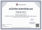 Psk. Emrah Oğuz Psikoloji sertifikası