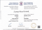 Uzm. Kl. Psk. Zeynep Hazal Ertürk Psikoloji sertifikası