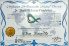 Fzt. Rıdvan Yüzügüldü Fizyoterapi sertifikası