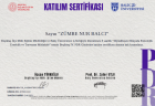 Psk. Dan. Zümre Nur Balcı Psikolojik Danışman sertifikası