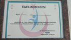 Dt. Kenan Sevi Diş Hekimi sertifikası